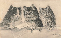 Chats Humanisés * CPA Illustrateur PATELLA Patella 1905 * Chat Cat Cats Katze * Journal Le Figaro - Katten