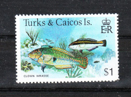 Turks &Caicos - 1979. Pesce Giovane Labride. Young Wrasse Fish.  MNH - Fishes