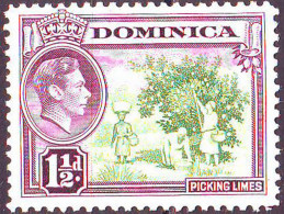 DOMINICA - PICKING LIMES - **MNH - 1938 - Arbres