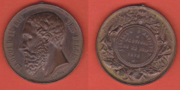 Belgique FESTIVAL 22 Juin 1873 Leopold II° Médaille Bronze - Royaux / De Noblesse