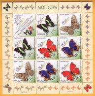 2013 Moldova Moldavie Moldau  Butterflies, Fauna, Insects, Sheet Mint - Vlinders