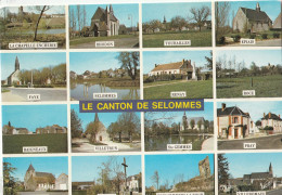 78 - 41 - CANTON DE SELOMMES . RHODON TOURAILLES EPIAIS FAYE RENAY ROCE BAIGNEAUX PRAY VILLEMARDY ETC............ . SCAN - Selommes