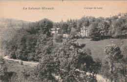 LA SALVETAT   Cottage De Label - La Salvetat