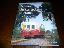 CHEMINS DE FER ANDRE PAPAZIAN TRAINS DE CARACTERE EN FRANCE EDITIONS MASSIN 2002 - Spoorwegen En Trams