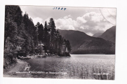 E6058) WEISSENSEE - Jausenstation RONACHERFELS Am Weissensee - Kärnten - S/W FOTO AK - Weissensee