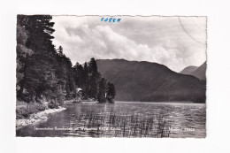 E6059) WEISSENSEE - Jausenstation RONACHERFELS Am Weissensee - Kärnten - S/W FOTO AK - Weissensee