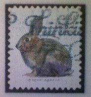 United States, Scott #5544, Used(o), 2021 Definitive, Brush Rabbit, (20¢), Gray - Usados