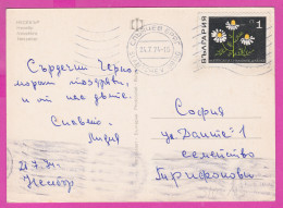 310113 / Bulgaria - Nessebar - Church Windmill Port Boat PC 1974 Sunny Beach Used 1 St. Matricaria Medicinal Plant - Plantas Medicinales