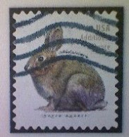 United States, Scott #5544, Used(o), 2021 Definitive, Brush Rabbit, (20¢), Gray - Usati