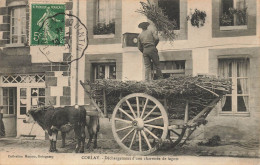 Corlay * 1909 * Déchargement D'une Charretée De Fagots * Attelage Boeufs Villageois - Autres & Non Classés