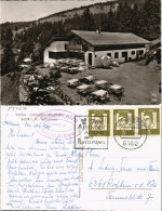 Spitzingsee-Schliersee Umlandansicht Mit Kaffee Gaststätte   Schliersee 1964 - Schliersee