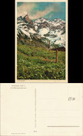 Einödsbach-Oberstdorf (Allgäu) Panorama-Ansicht Bergpanorama Mit Wiese 1930 - Oberstdorf