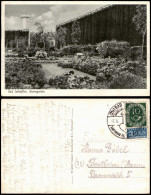 Ansichtskarte Bad Salzuflen Partie Im Rosengarten, Park-Anlagen 1955 - Bad Salzuflen