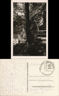 Ansichtskarte Rabenau Rabenauer Grund - Am Wehr 19141 - Rabenau