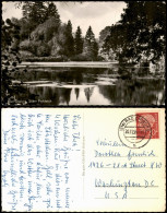 Ansichtskarte Bad Driburg Stiller Parkteich 1956 - Bad Driburg