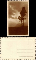 Ansichtskarte  Stimmungsbilder: Natur Berge Wegkreuz Wolken 1932 - Unclassified