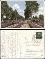 Ansichtskarte .Niedersachsen Lüneburger Heide; Birken 1939 - Lüneburger Heide