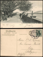 Ansichtskarte Bonn Alter Zoll 1902/1907 - Bonn