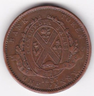 Bank Token One Penny 1837 Province Du Bas-Canada Deux Sous, En Cuivre,  KM#  Tn10 - Canada