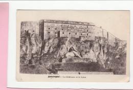 BELFORT LE CHATEAU ET LE LION - Belfort – Le Lion