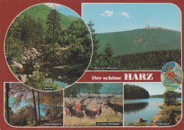 29616 - Harz - U.a. Oderteich - 1990 - Wernigerode