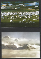 CHINE. 2 Cartes Postales Pré-timbrées De 1992. Tibet. - Ansichtskarten