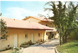 L'Isle-sur-Sorgue (84 - Vaucluse) - AVRR - Domaine De Mousquety - Vue Des Bungalows (proche) - L'Isle Sur Sorgue