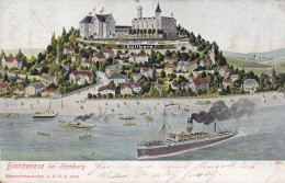 Deutsches Reich UPU PPC Blankensee Bei Hamburg Kunstverlaganstalt A. N. H. S. 1906, BLANKENSEE 1909 Germania (2 Scans) - Blankenese