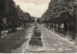 SALSOMAGGIORE TERME VIALE BERENINI VIAGGIATA - Parma