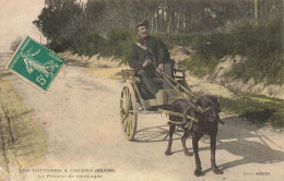 Les Voiture à Chiens ( Sologne ) * édition éditeur Morier * Le Facteur De Campagne * Attelage à Chein * Ptt Poste Métier - Sonstige & Ohne Zuordnung