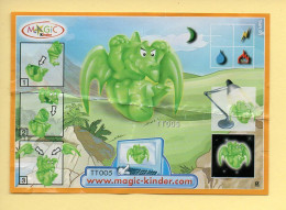 Kinder : BPZ N° TT005 : Série Dragons - Instructions