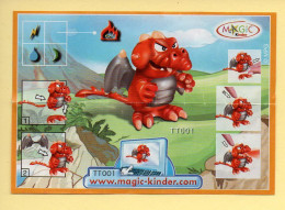 Kinder : BPZ N° TT001 : Série Dragons - Instructions