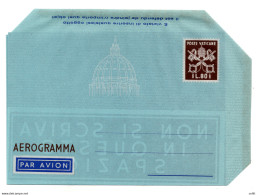 Vaticano - Aerogramma Lire 80 Bruno Con Indicazione - Ongebruikt