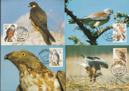 Malta 1991, Maximum Cards Unused, WWF, Birds Of Prey - Malta