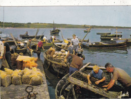 56. PENESTIN. CPSM. ARRIVAGE DES MOULES AU PORT DE TREHIGUIER. ANIMATION - Pénestin