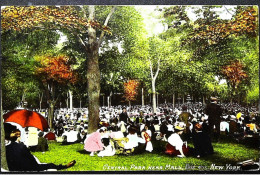 ► CENTRAL PARK Near Mall ANimation Rassemblement    Vintage Card 1910s     - NEW YORK CITY - Central Park