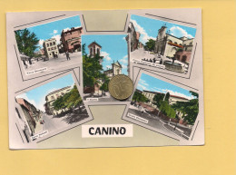 MM3764 Lazio CANINO Viterbo 1967 Viaggiata - Andere & Zonder Classificatie