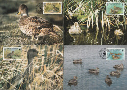 Zuid Georgië 1992, Maximum Cards Unused, WWF, Ducks, Birds - Zuid-Georgia