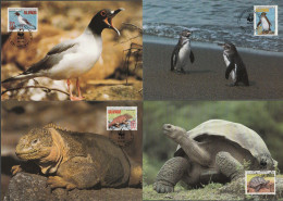 Galapagos 1992, Maximum Cards Unused, WWF, Turtle, Birds, Land Iguana - Equateur