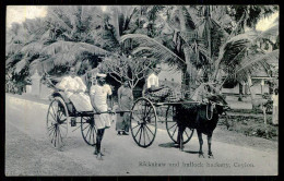 SRI LANKA (CEYLON) -  Rickshaw And Bullock Hackery. ( Ed.Plâté Ltd. Nº 31) Carte Postale - Sri Lanka (Ceylon)