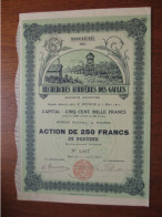 FRANCE - PARIS 1912 - RECHERCHE AURIFERES DES GAULES - ACTION DE 250 FRS - BELLE DECO - IPRIMERIE RICHARD - Autres & Non Classés