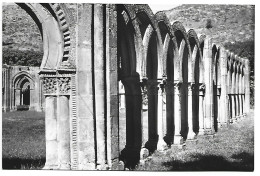 CLAUSTRO DE SAN JUAN DE DUERO, MONUMENTO NACIONAL, SIGLO XIII.-  SORIA.- ( ESPAÑA ). - Kirchen U. Kathedralen