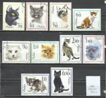 0431Q- SERIE COMPLETA GATOS FELINOS POLONIA 1964 Nº 1332/1241 MUY BONITOS. - Used Stamps