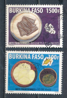 °°° BURKINA FASO - Y&T N°1359/60 - 2009 °°° - Burkina Faso (1984-...)