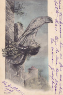 Cpa -illustrateur - Rapace - Faucon , Aigle - Avant 1900