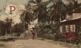 SIERRA LEONA. SIERRA LEONE. COCOANUT AVENUE. - Sierra Leona