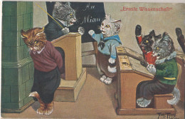 * Katzen 6er Serie TSN 962 Sign. A. Thiele - Thiele, Arthur