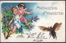 Gest. Pfingsten Maikäfer, Prägekarte 1907, Briefmarke Beschädigt, EK 1,2 Cm - Pentecôte