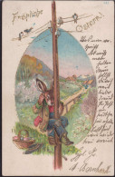 Gest. Ostern Osterhase Prägekarte 1905 - Pâques