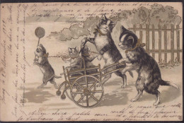 Gest. Katzen Prägekarte 1902 - Sonstige & Ohne Zuordnung
